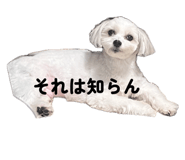 843466585