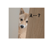 843466788