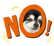 843466838