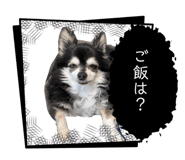843466839