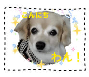 843466852