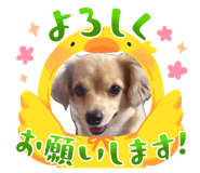 843466854