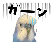 843466922