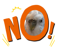 843466927