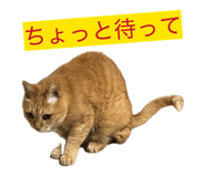 843466962
