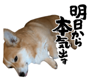 843466989