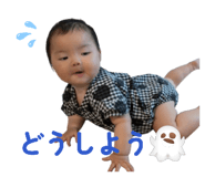 843466994