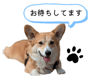 843466999