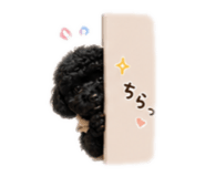 843467212