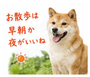 843467235