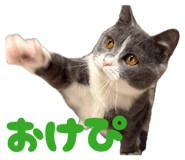 843467410