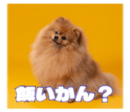 843467509
