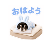843467562