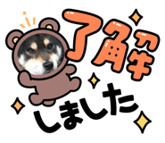 843467699