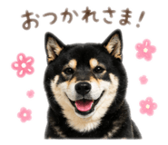 843467711