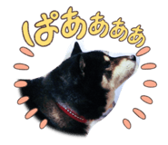843467731