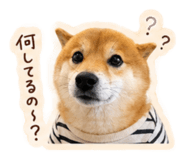 843467744