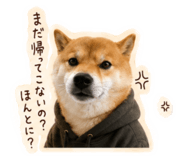 843467746
