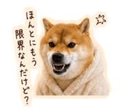 843467751