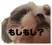 843467860