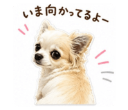 843468026