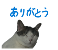 843468316