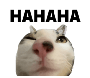 843468317