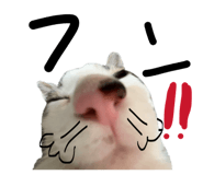843468318