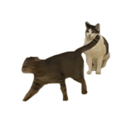 843468324