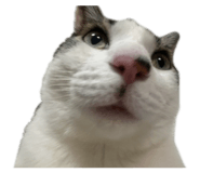 843468330
