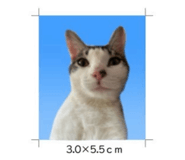 843468334