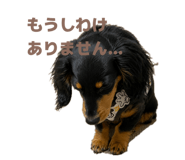 843468356