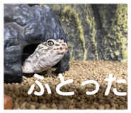 843468495