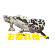 843469121