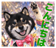 843469180