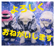 843469185