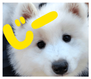 843469193