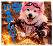 843469197