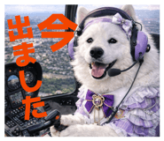 843469204