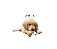 843469316