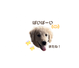 843469320