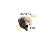 843469320