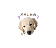 843469325
