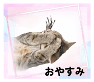 843469434