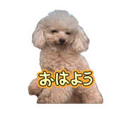 843469498