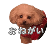 843469499