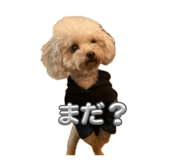 843469500