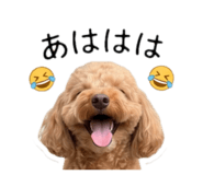 843469523