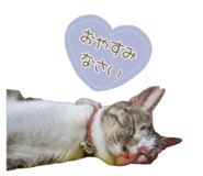 843469866