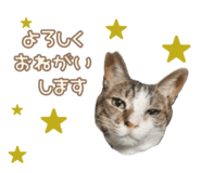 843469870
